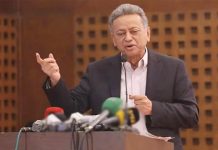 নির্দেশনা বা প্রজ্ঞাপন দিয়ে নয়, সংস্কার হতে হবে সংসদে: আমীর খসরু