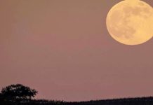 বছরের প্রথম সুপারমুন দেখা যাবে আগামীকাল