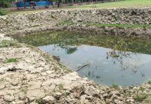 জমির বিরোধ: মিথ্যা চাঁদাবাজির মামলায় ফাঁসানো হলো ছাত্রদল নেতাকে