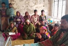 লালমোহনের চরকচুয়ায় সরকারি গাছ কাটা বাধা দেওয়ায় হামলা, আহত ১৫