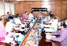 পহেলা বৈশাখের শোভাযাত্রার নতুন নামকরণ ‘বৈশাখী শোভাযাত্রা’