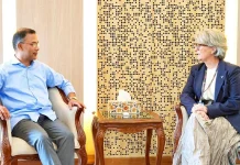 প্রধানমন্ত্রীর সঙ্গে টেলিনর গ্রুপ প্রধানের সাক্ষাৎ