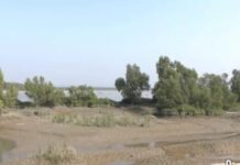 মিয়ানমার থেকে ছোড়া গুলিতে টেকনাফে দুই কিশোর গুলিবিদ্ধ, সীমান্তজুড়ে আতঙ্ক